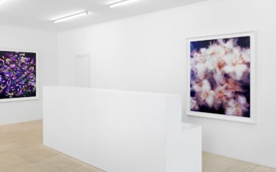 Galerie BAART